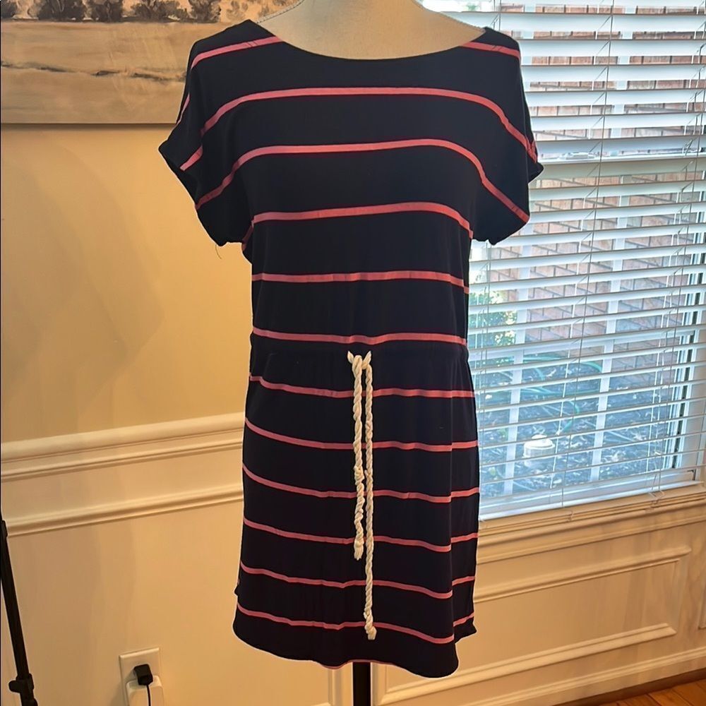 J. Crew Navy Dress with Pink Stripes